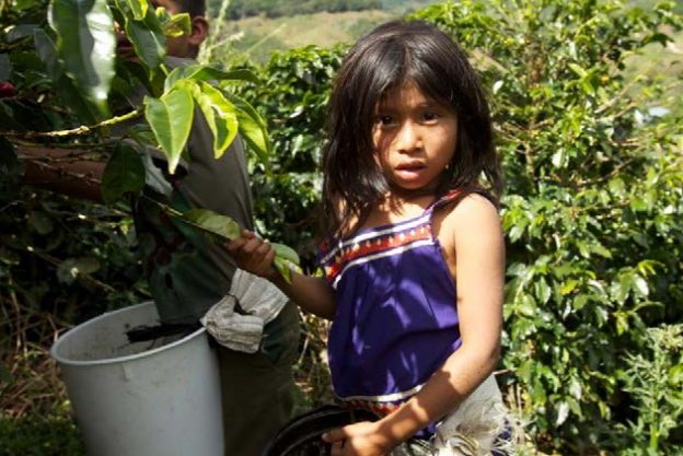 2020 List of Goods Produced by Child Labor or Forced Labor