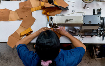 Just One Major Brand is Fully Transparent About Its Suppliers