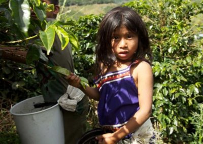 2020 List of Goods Produced by Child Labor or Forced Labor