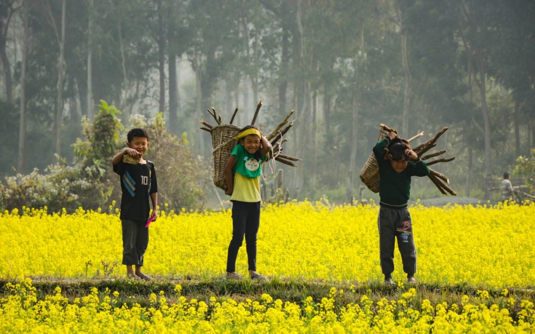 A New Era Starts in Combating Child Labour in Seasonal Agriculture