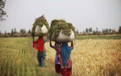 Migrant Voices: Stories of India’s Internal Migrant Workers During the COVID-19 Pandemic