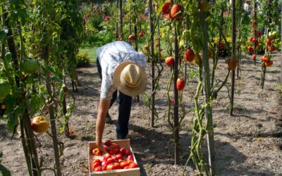 The art of using supply chains to defend worker rights