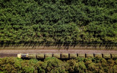 Tate & Lyle accused of betraying Cambodia families whose land was allegedly taken