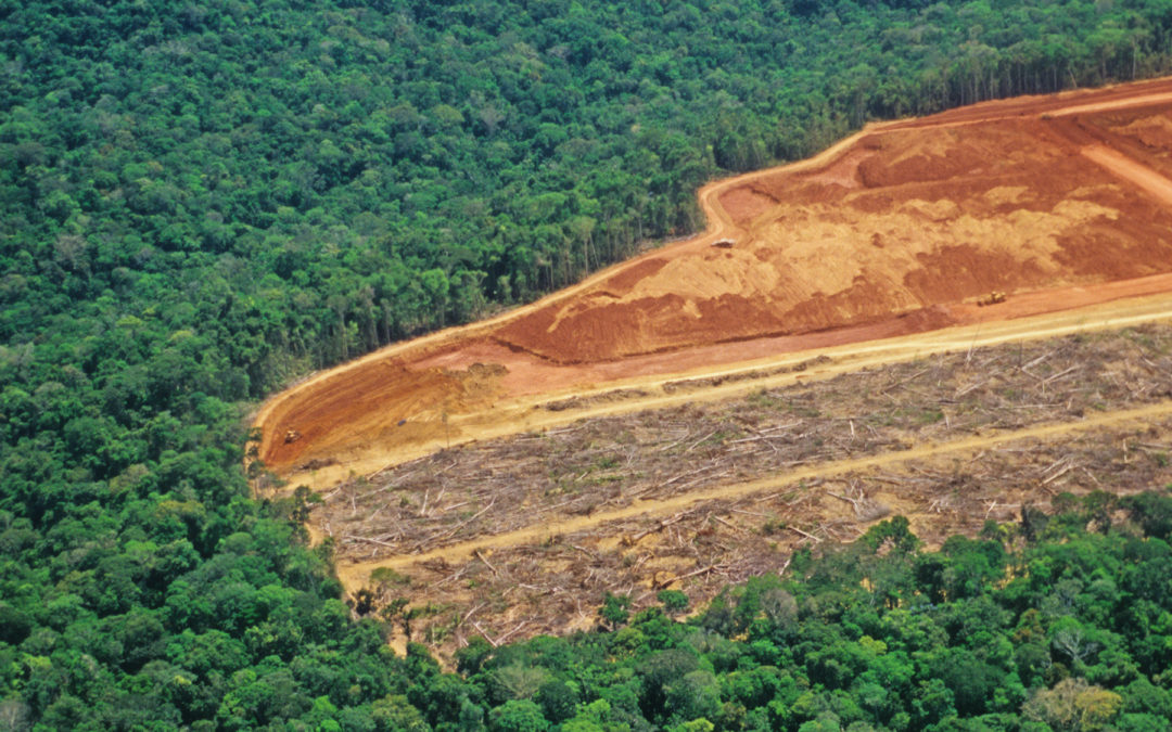 Indigenous peoples sue retailer Casino over Amazon destruction