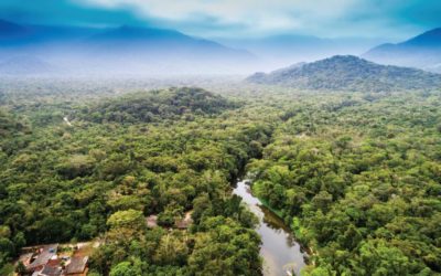 The human right that benefits nature
