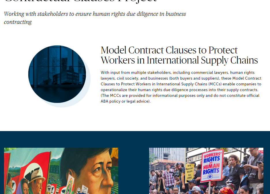 Contractual Clauses Project