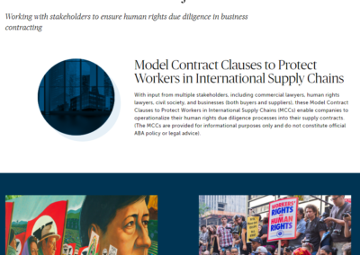 Contractual Clauses Project