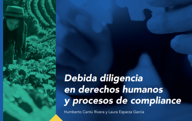 Debida diligencia en derechos humanos y procesos de compliance