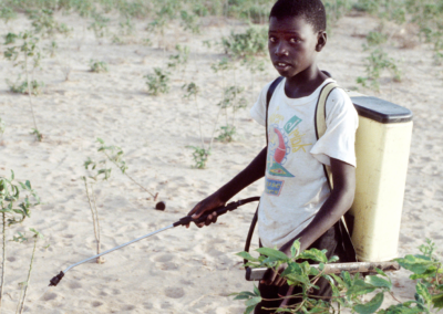 Pesticide management and child labour prevention
