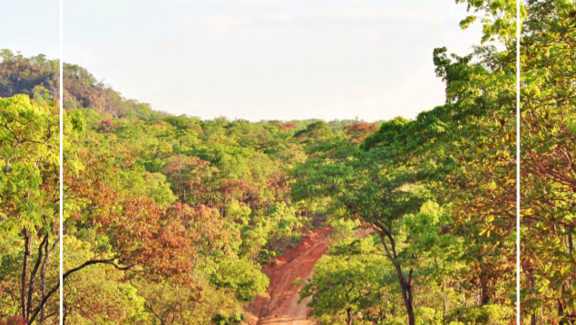 Exploring Intersections of Trafficking in Persons Vulnerability and Environmental Degradation in Forestry and Adjacent Sectors