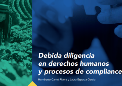 Debida diligencia en derechos humanos y procesos de compliance