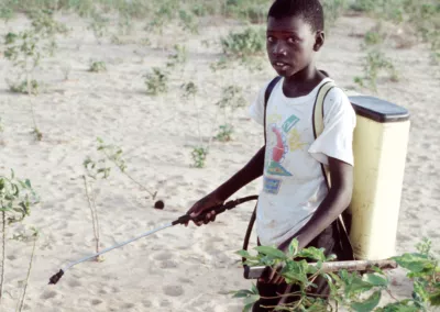 Pesticide management and child labour prevention
