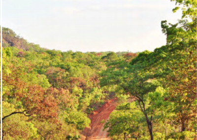 Exploring Intersections of Trafficking in Persons Vulnerability and Environmental Degradation in Forestry and Adjacent Sectors