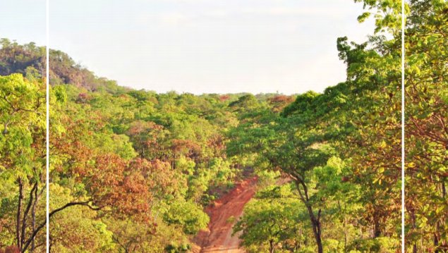 Exploring Intersections of Trafficking in Persons Vulnerability and Environmental Degradation in Forestry and Adjacent Sectors