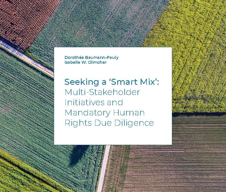 Seeking a ‘Smart Mix’: Multi-Stakeholder Initiatives and Mandatory Human Rights Due Diligence