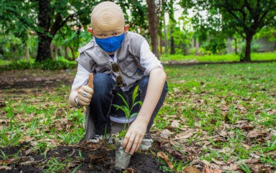 Access to a Healthy Environment, Declared a Human Right by UN Rights Council