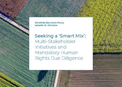 Seeking a ‘Smart Mix’: Multi-Stakeholder Initiatives and Mandatory Human Rights Due Diligence