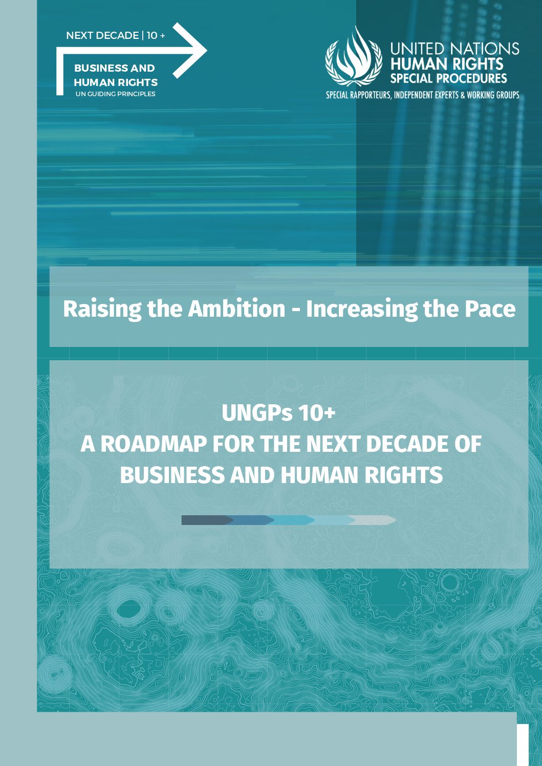 UNGPs 10+ Roadmap FINAL