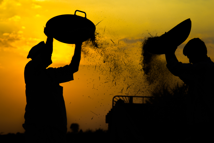 Why Human Rights Must Be at the Heart of Food Industry Climate Action