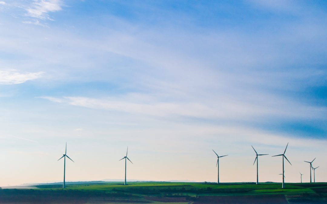 How Mandatory Human Rights and Environmental Due Diligence Can Create a Sustainable Future