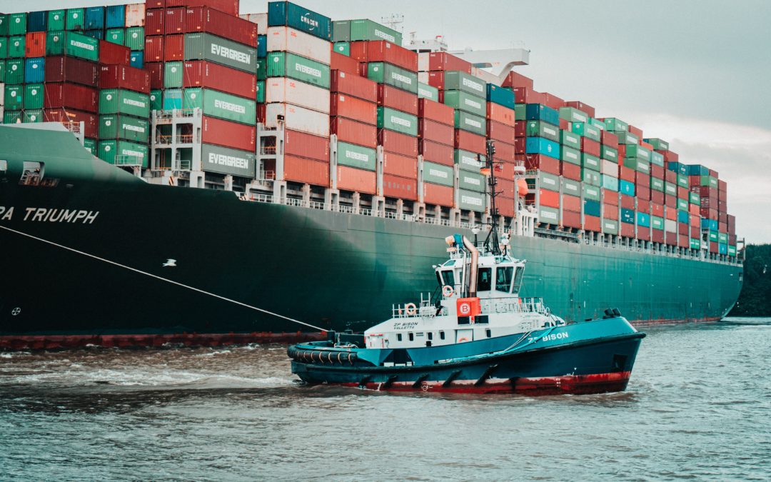 Commission Lays Down Rules for Companies To Respect Human Rights and Environment in Global Value Chains