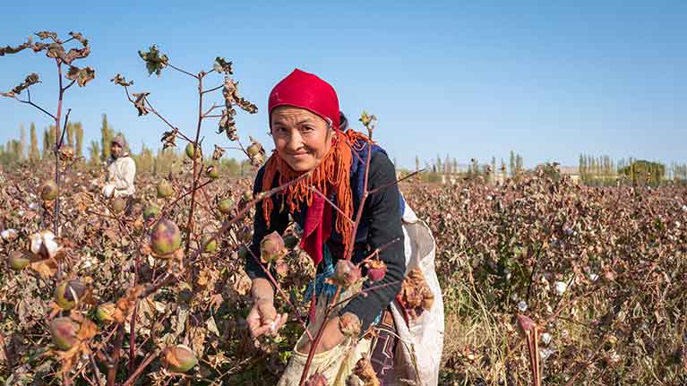 Uzbek Cotton Is Free From Systemic Child Labour and Forced Labour